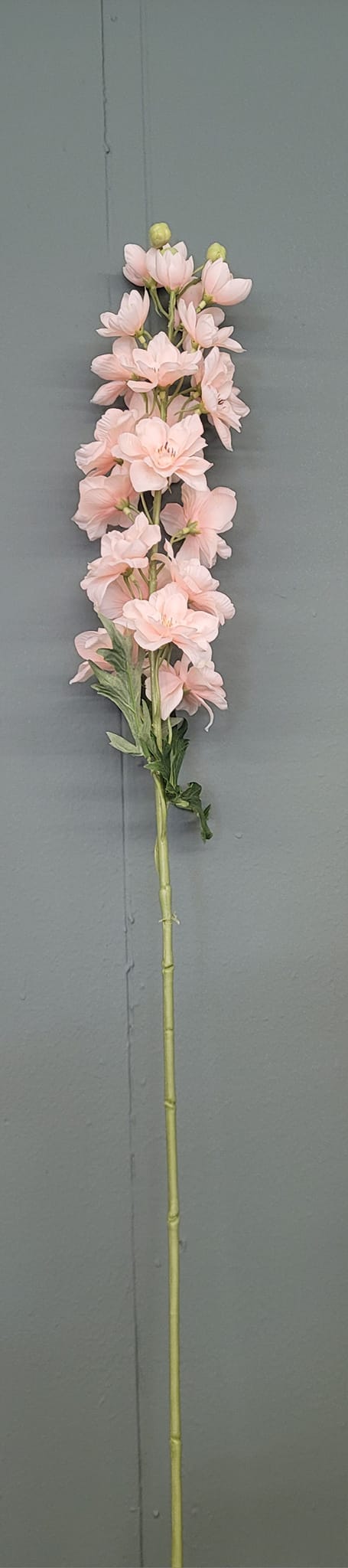 Delphinium Spray 37" Peach