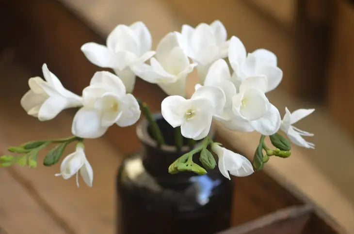 White 20" Freesia Spray