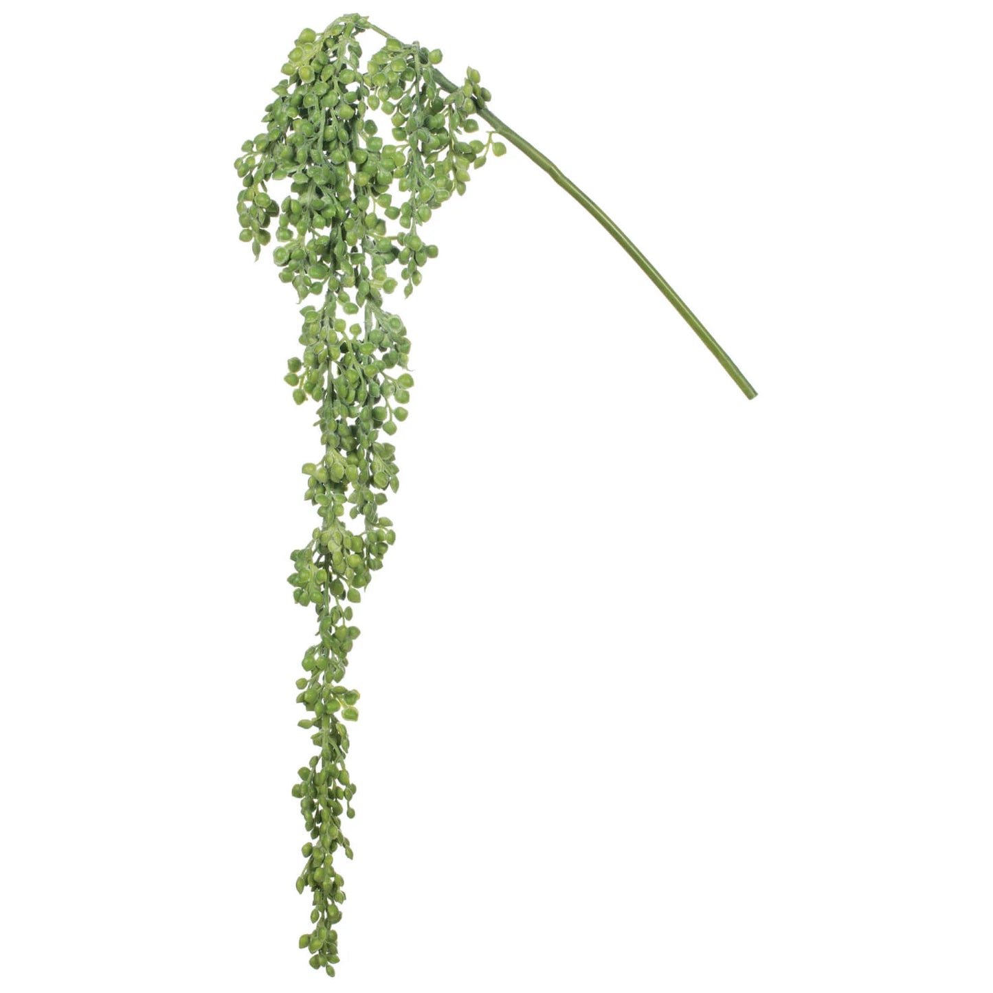 Hanging 18" Succulent