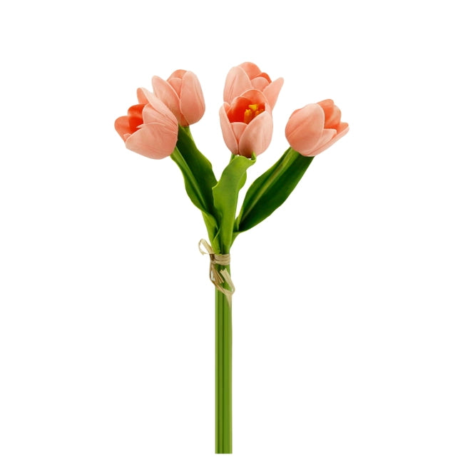 Coral 5 Stem Tulip Bundle