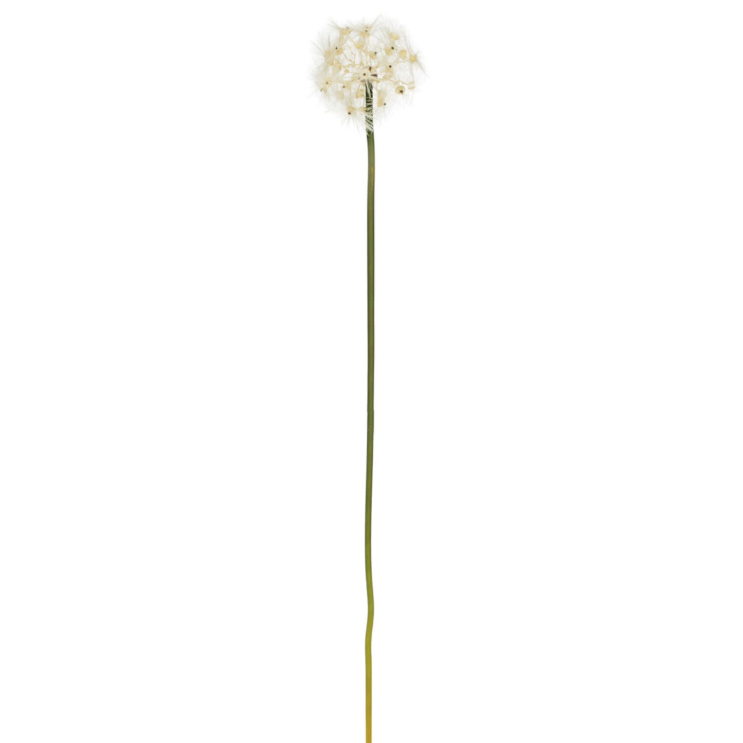 Dandelion 31" Floral Stem