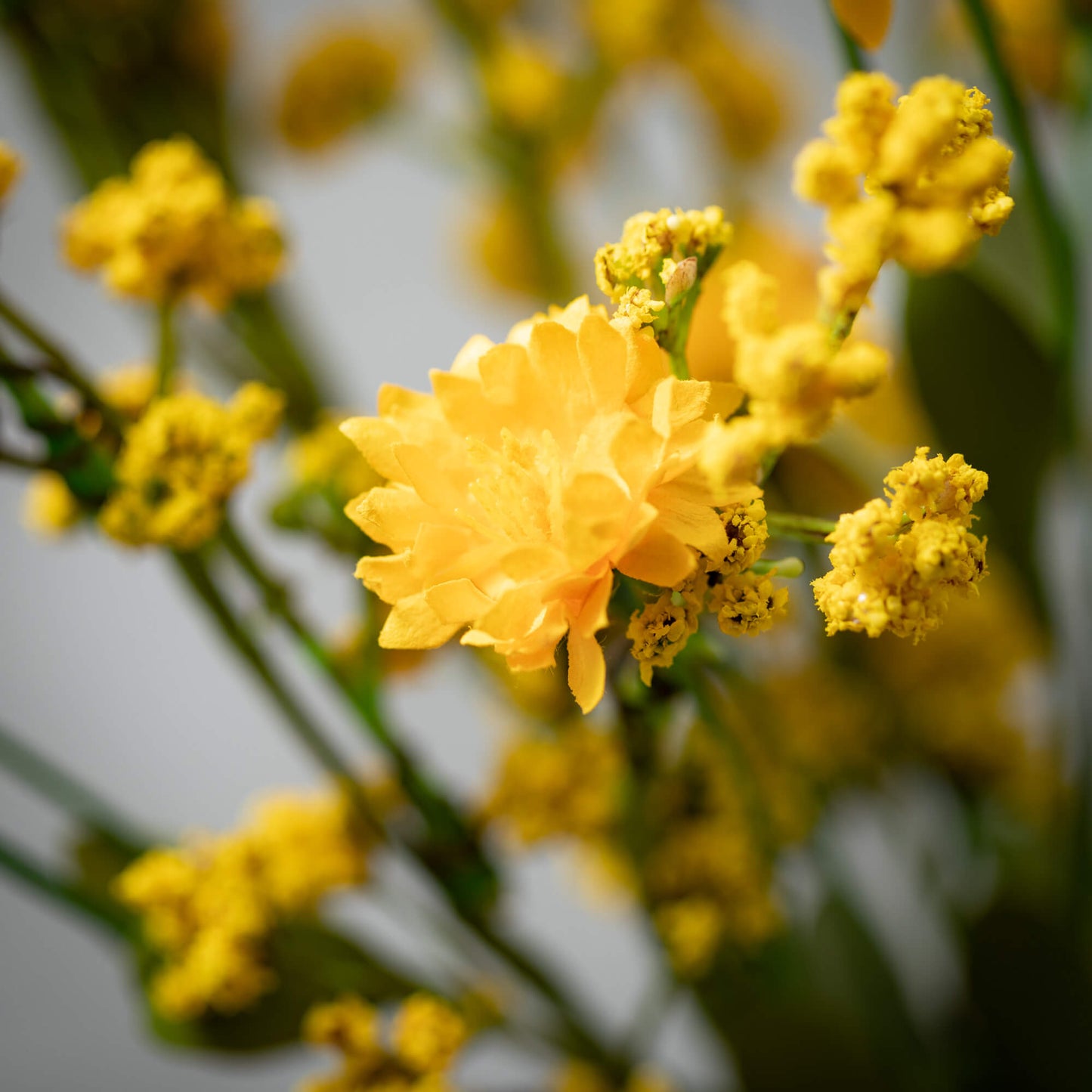 Yellow Wildflower 24" Wreath