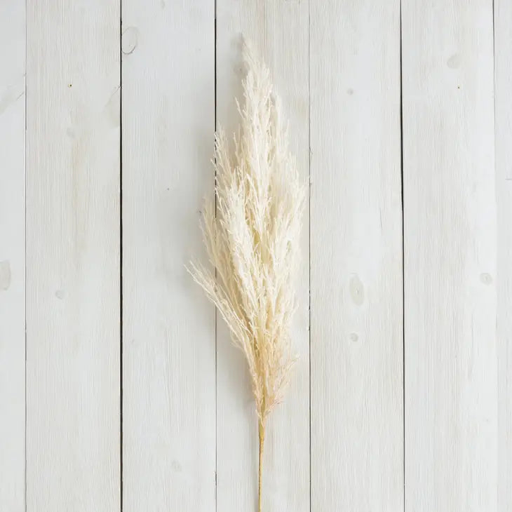 Mila 40" Cream Reed Branch