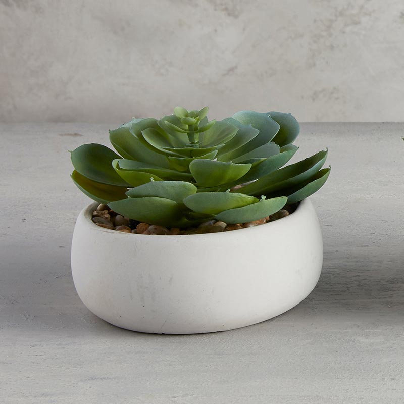 Elegans Potted Faux Succulent