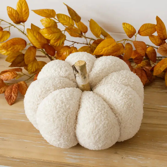 Cozy 9" Pumpkin with Birch Stem