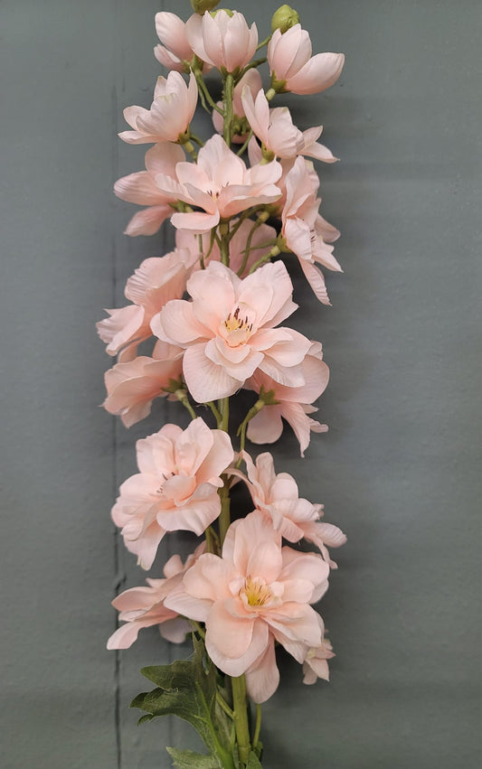 Delphinium Spray 37" Peach