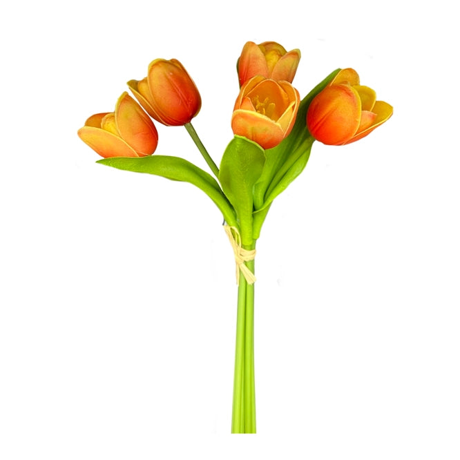 Sunset 5 Stem Tulip Bundle