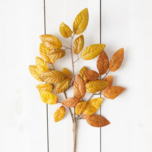 Aspen Fall Foliage Branch