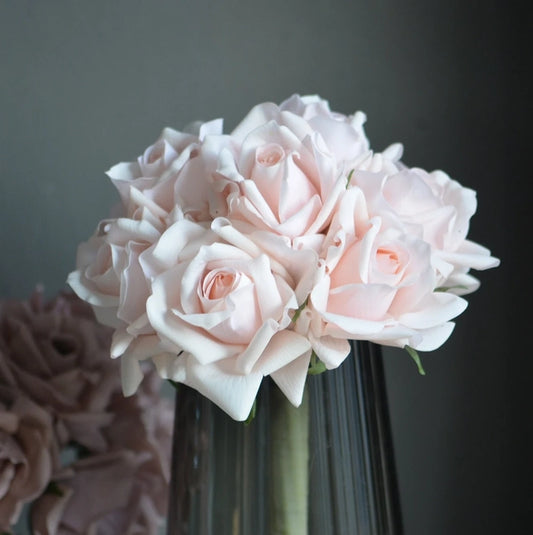 Pale Pink Roses 5 Stem Bundle