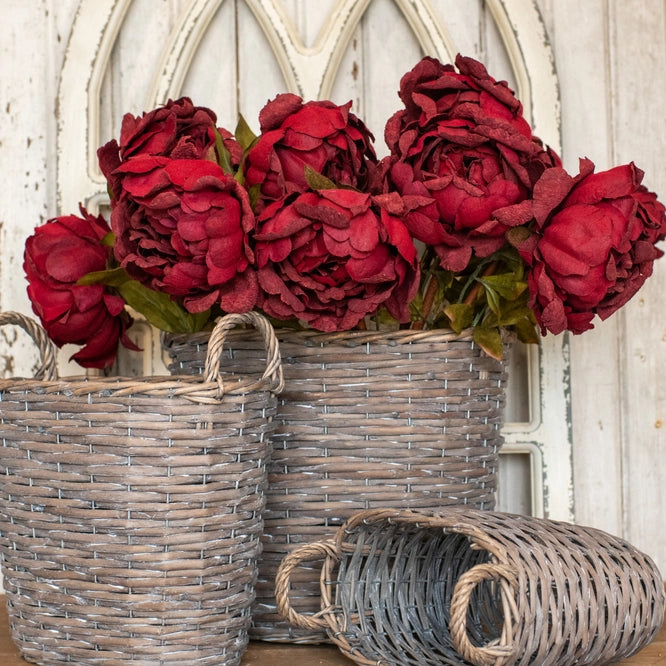 Burgandy 27" Peony Stem