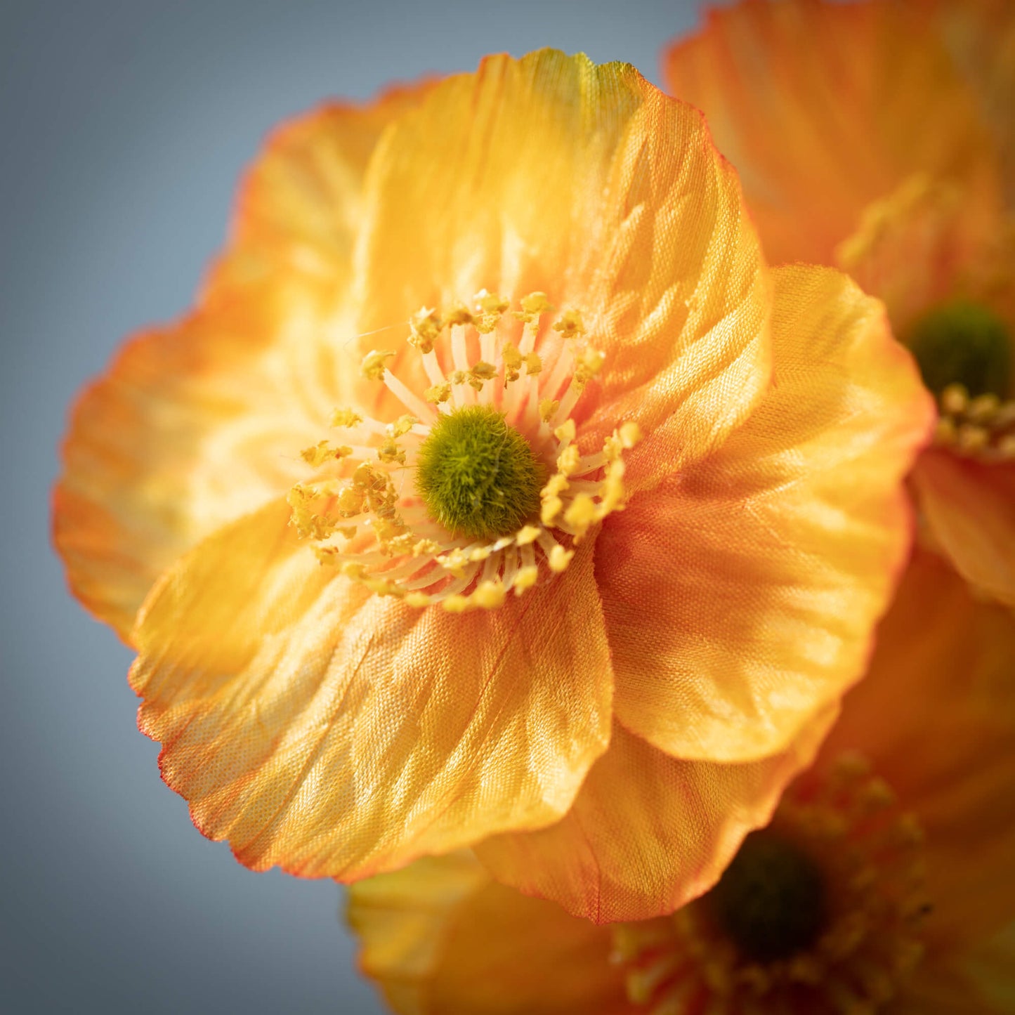 Sunshine Yellow 23" Poppy Spray