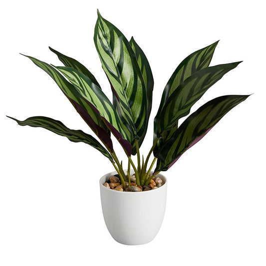 Calathea 14" Faux Potted Plant