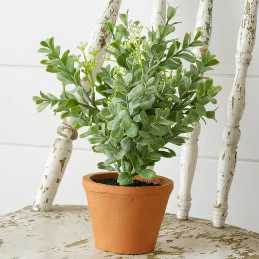 Oregano 11" Faux Potted Plant