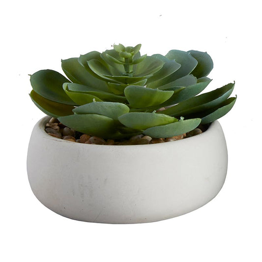 Elegans Potted Faux Succulent