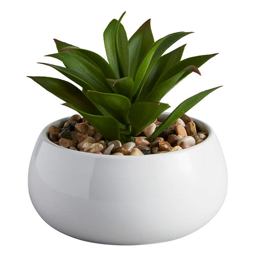 Nodulosa Potted Faux Succlent