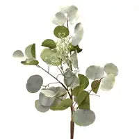 Washed Silver Dollar Eucalyptus Spray, 38" - Green